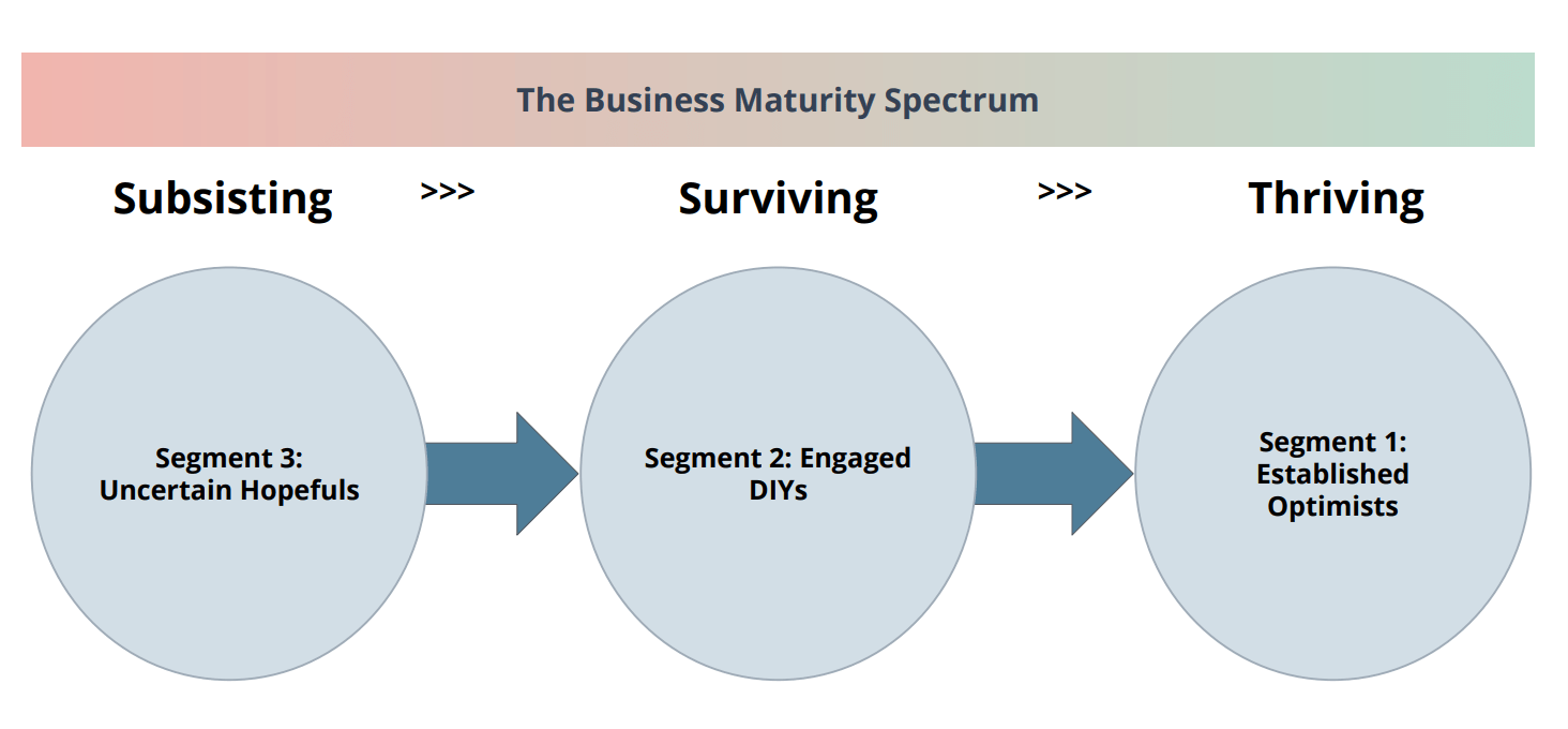 a8c-biz-maturity-spectrum.png