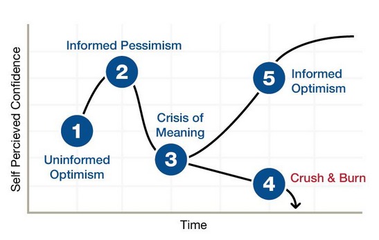 Entrepreneur's Rollercoaster