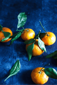 02 lauren lester orange