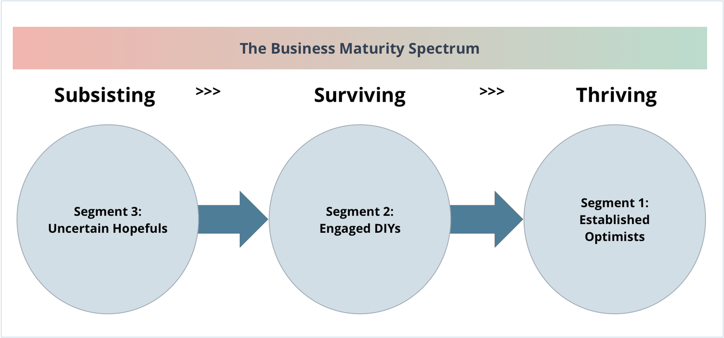chart-business-maturity-spectrum.png