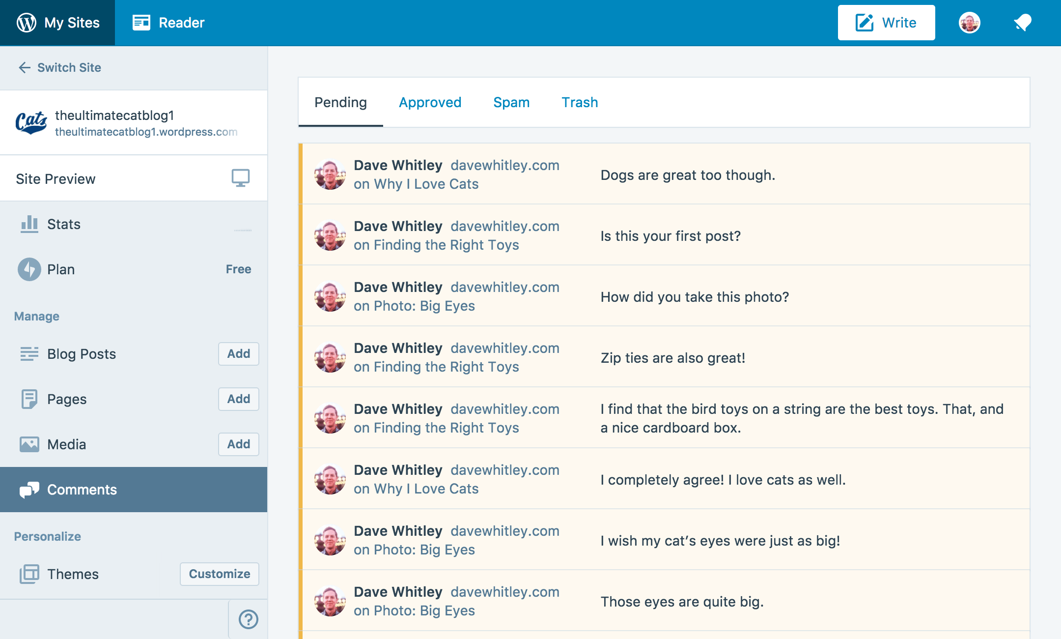 comments preview.png