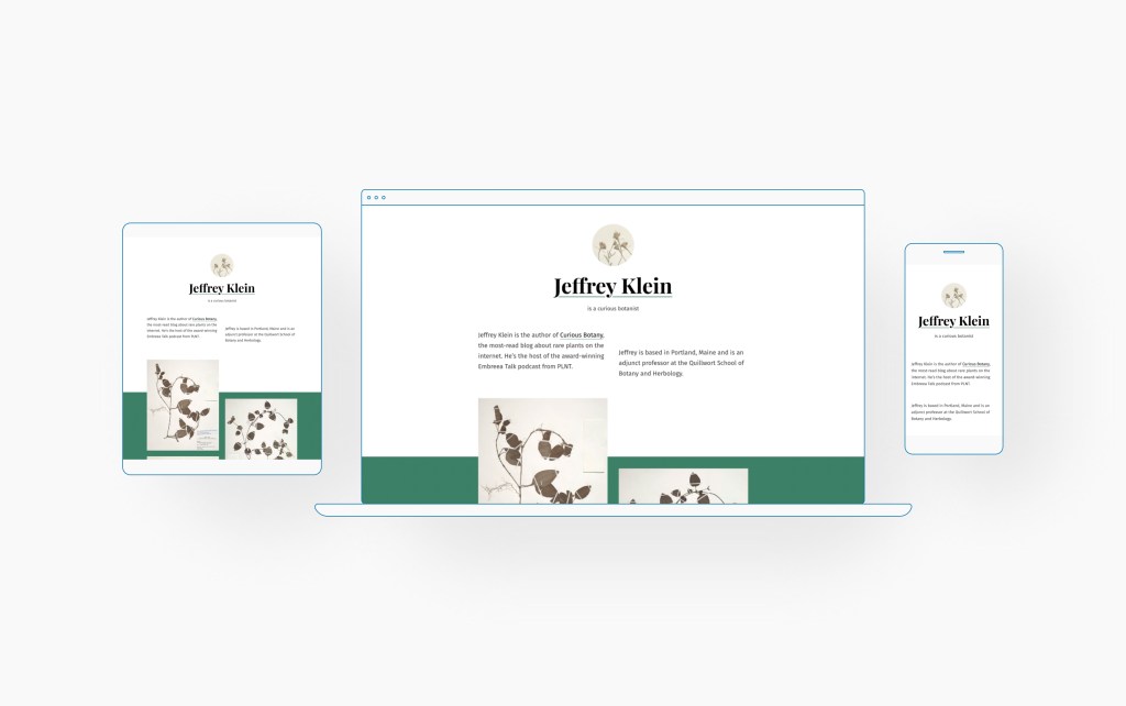 Designing the Seedlet Theme