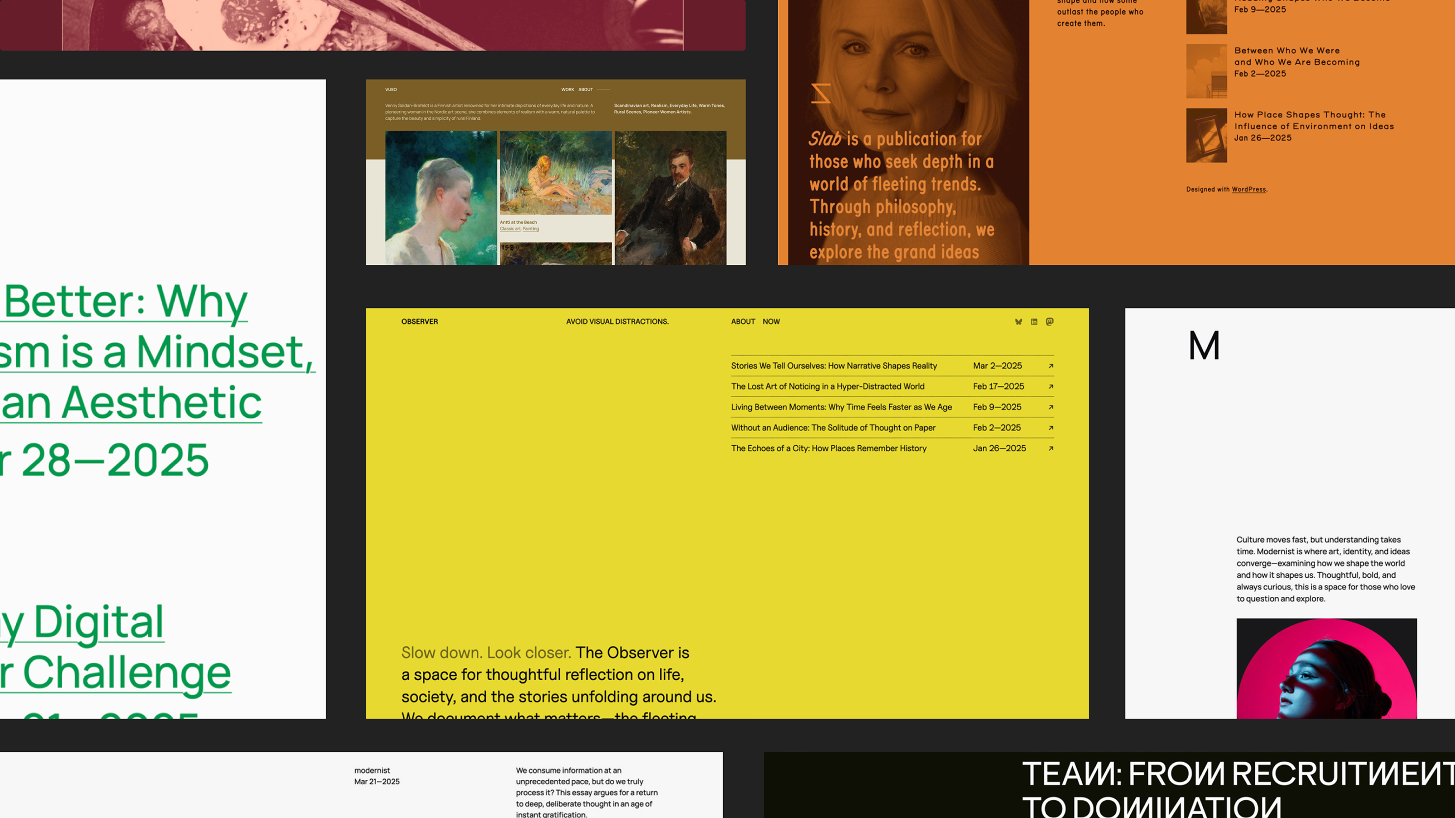 decorative image, with a selection of screeenshots showcasing WordPress themes